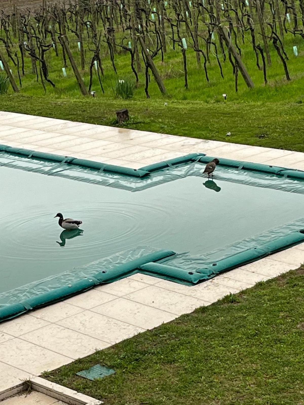 לאזיסה Agriturismo Al Dugale מראה חיצוני תמונה